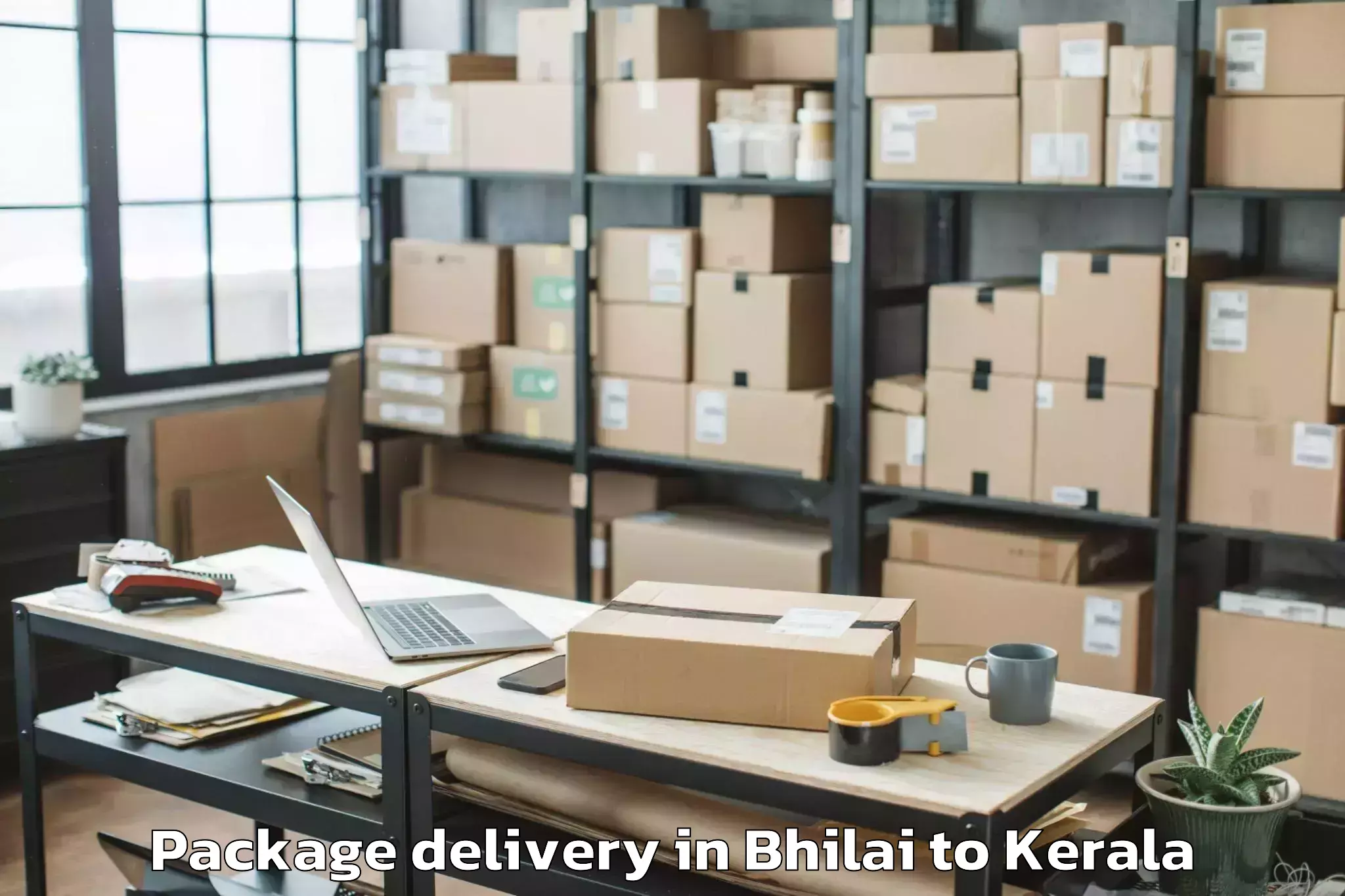 Reliable Bhilai to Shoranur Package Delivery